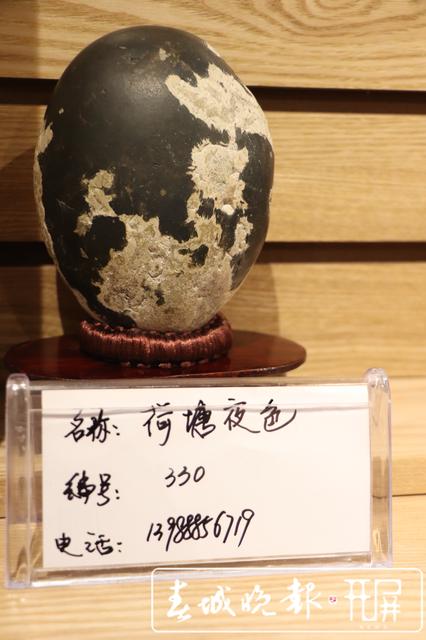 423方石头斗“奇” 丽江古城杯奇石展开展 图片由@和琪提供