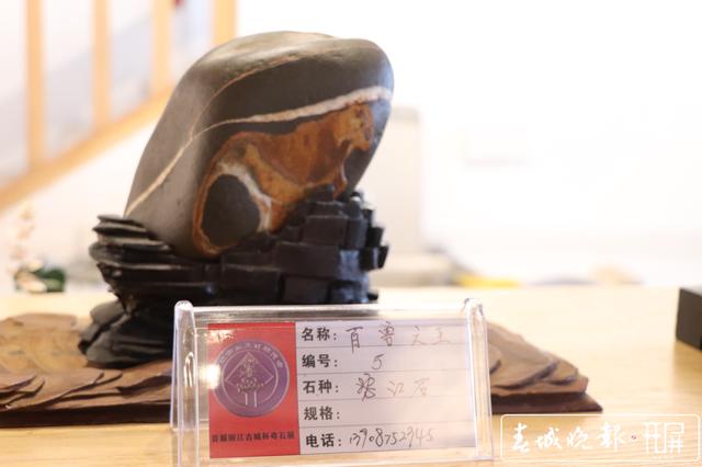423方石头斗“奇” 丽江古城杯奇石展开展 图片由@和琪提供