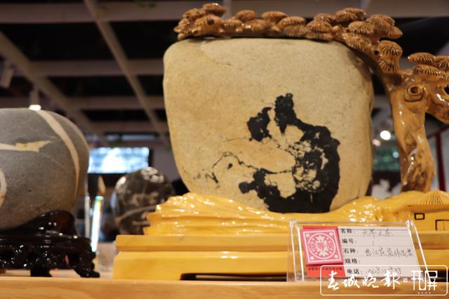 423方石头斗“奇” 丽江古城杯奇石展开展 图片由@和琪提供