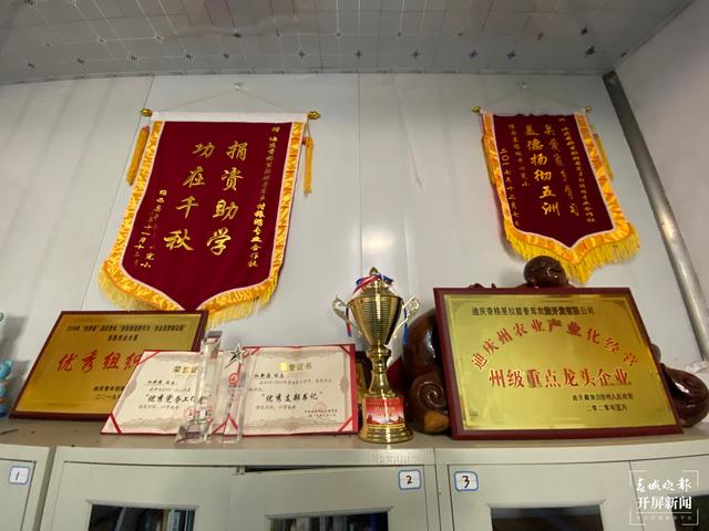 2020迪庆故事 | 乡村旅游成就小康生活（春城晚报-开屏新闻记者 木晓雯 周柯妤 王宇衡 摄影报道）