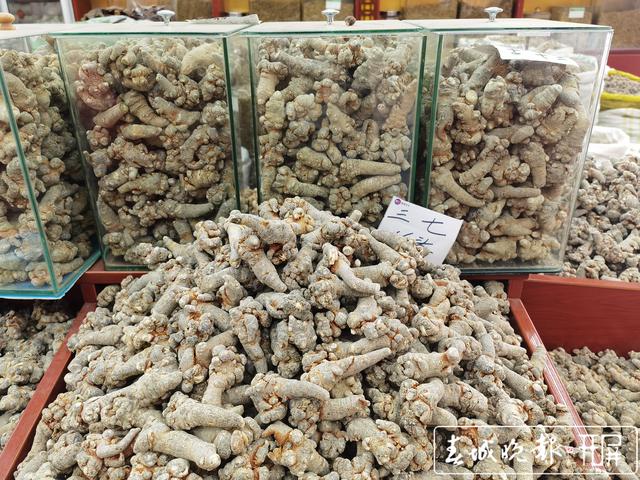 昆明三七节前销量增加 价格同比降幅近40% 记者：刘文波 实习生：胡正男 摄影报道