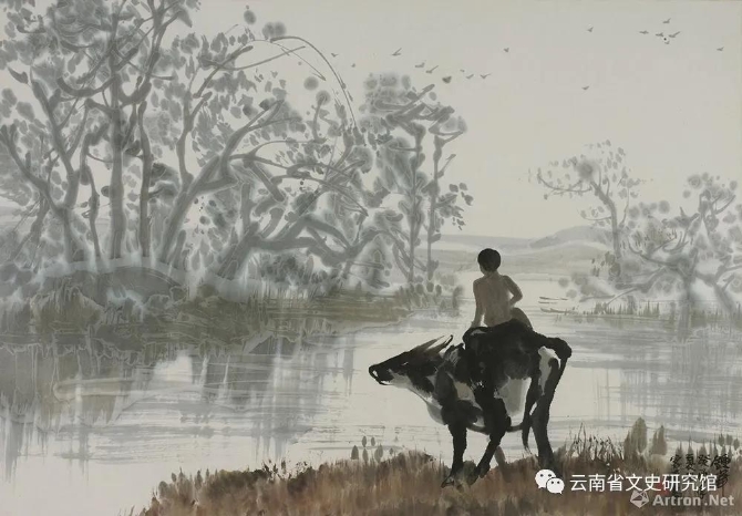 彩龙社区直播页面截图