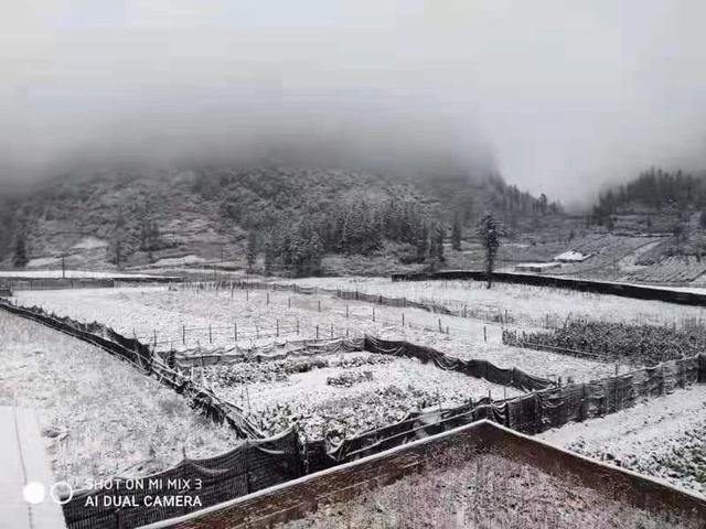 美了美了！2021年的第一场雪，惊艳了文山3.jpg
