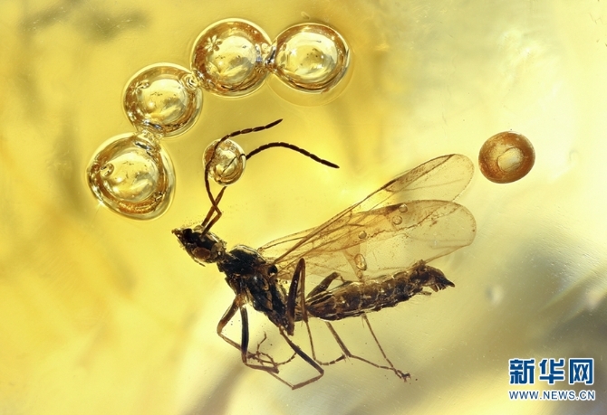 139656110_16102884305981n