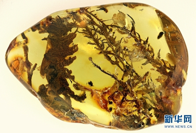 139656110_16102884308311n