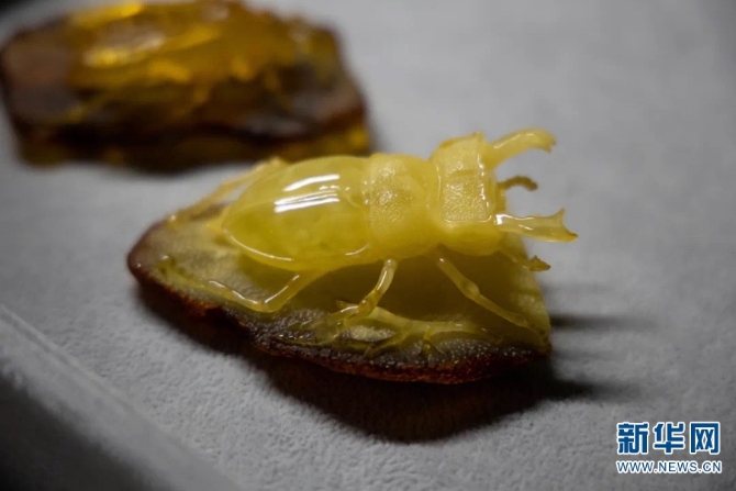 139656110_16102884325131n