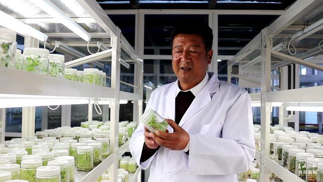 【2020迪庆故事】蔬菜大棚“种”出幸福生活 和继泉（春城晚报-开屏新闻记者 木晓雯 周柯妤 王宇衡 摄影报道）8.jpg