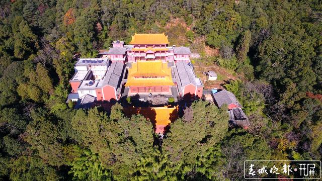 宾川鸡足山百年古梅开花了