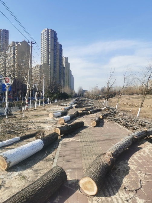 a399827e0bc4aec8eb9cdf610b8d96f1 a399827e0bc4aec8eb9cdf610b8d96f1