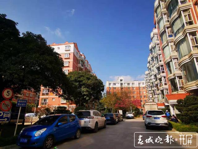 昆明一小区更换新物业，采集信息具体到家庭成员…业主担心泄露隐私 春城晚报-开屏新闻记者 张勇 摄影报道 1.jpg