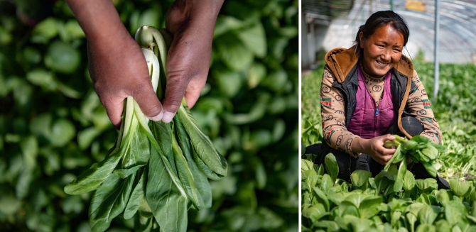 XxjdzbC007173_20210114_CBMFN0A004