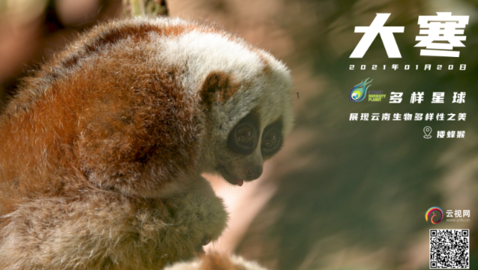 1610679195939703.png image.png