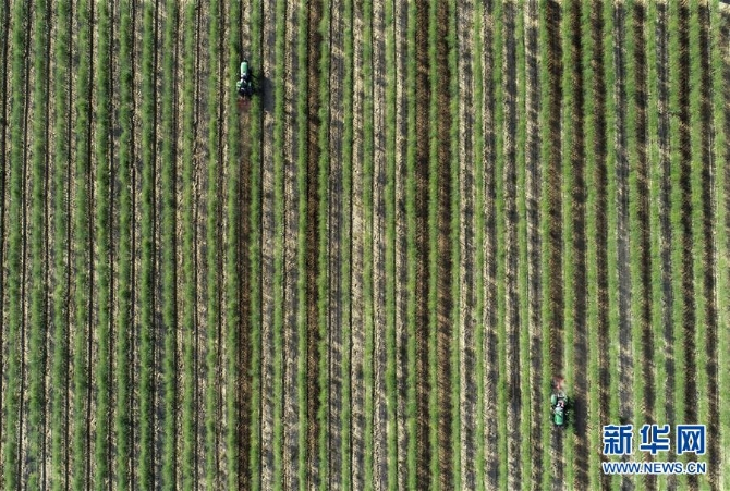 (新华全媒头条·百万大移民·图文互动)(10)从大山深处到大河之畔——宁夏持续移民百万“拔穷根”启示