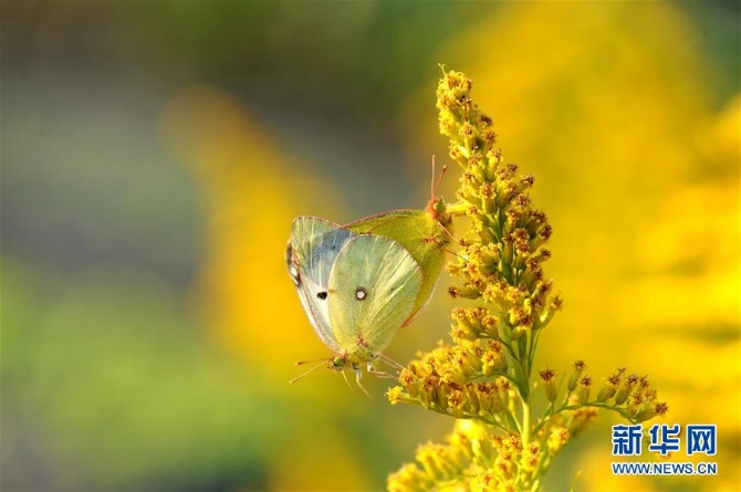 1210870880_16044557566881n