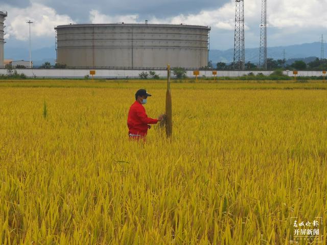 2020年云南省消费天然气18.63亿立方米，冬季居民用气有保障（春城晚报-开屏新闻记者 张勇 通讯员 郑文贞 摄影报道