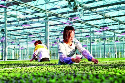 实现共同富裕是关系党的执政基础的重大政治问题 实现共同富裕是关系党的执政基础的重大政治问题