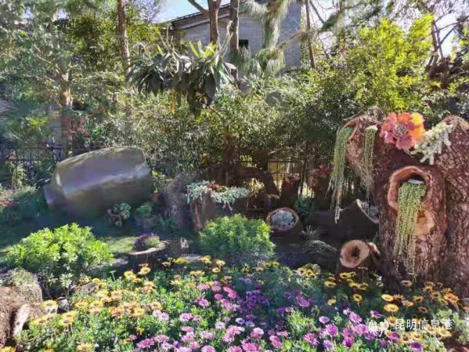 微信图片_20210201103404