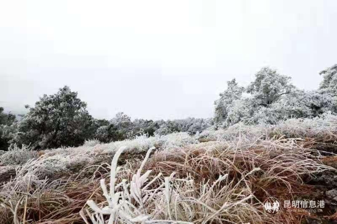 微信图片_20210201103408