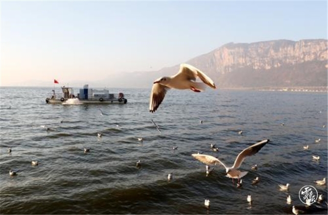 binary_middle (3).jpg