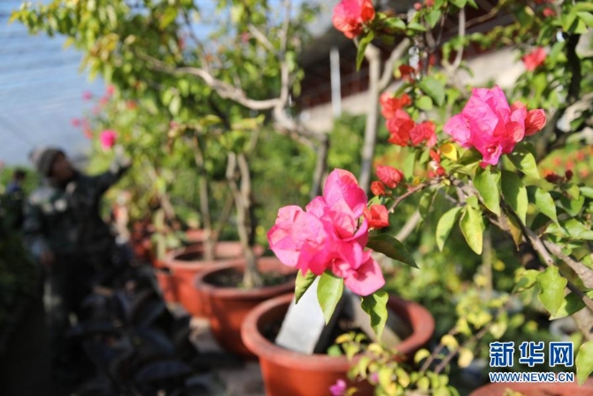 1127056326_16122742081441n 1127056326_16122742081441n