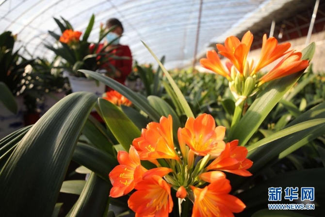 1127056326_16122742081641n 1127056326_16122742081641n