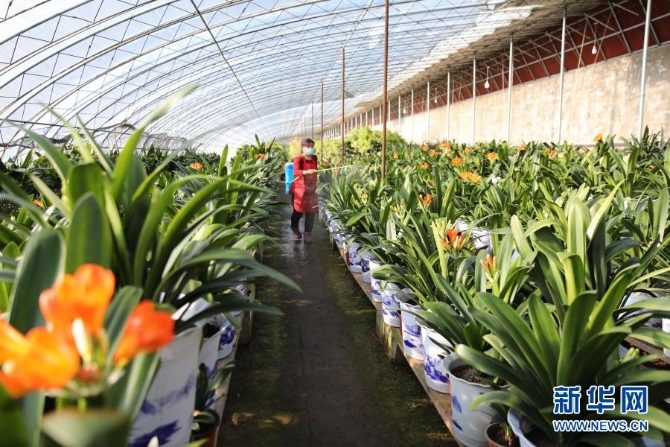 1127056326_16122742081951n 1127056326_16122742081951n