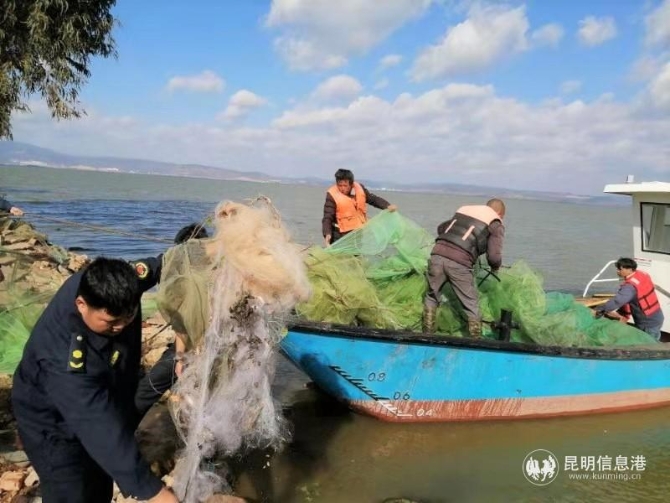 e9073e1b856f3e5d41571db26a26687