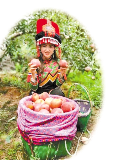 2021020506_res11_attpic_brief