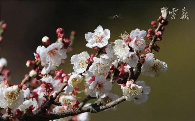 微信图片_20210205143435