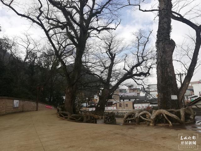 新春走基层 | 两个村寨展示那段“红色”岁月（新春走基层 | 两个村寨展示那段“红色”岁月