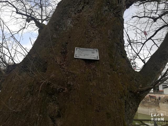 新春走基层 | 两个村寨展示那段“红色”岁月（新春走基层 | 两个村寨展示那段“红色”岁月