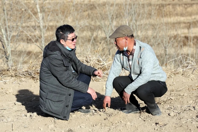 林玉清指导农民种植艾草.webp 林玉清指导农民种植艾草.webp