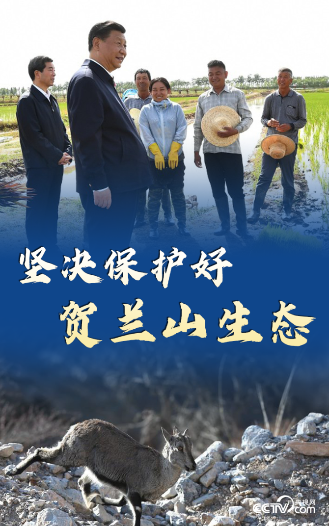 2021020514463794589 2021020514463794589