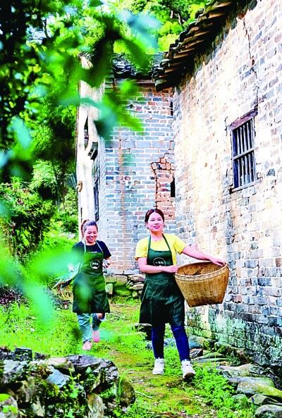 归巢与守望：返乡“小镇青年”群体探究