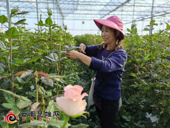 92933dd2-5a8a-4de2-95ec-bf708be64449