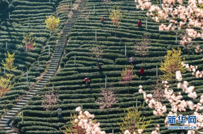 1127125292_16139835784261n 1127125292_16139835784261n