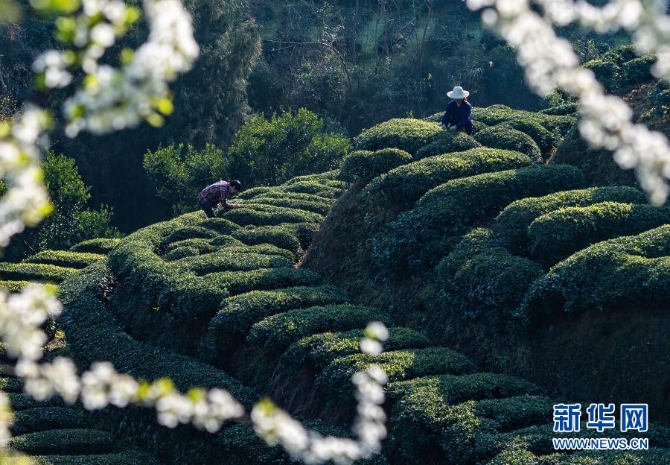 1127125292_16139835785111n 1127125292_16139835785111n