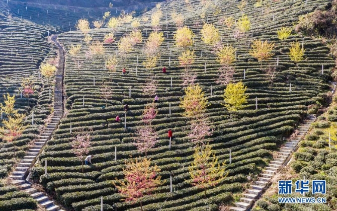 1127125292_16139835785731n 1127125292_16139835785731n