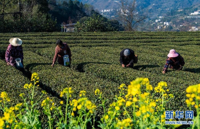 1127125292_16139835786271n 1127125292_16139835786271n