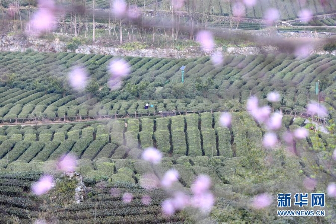 1127125292_16139835786901n 1127125292_16139835786901n