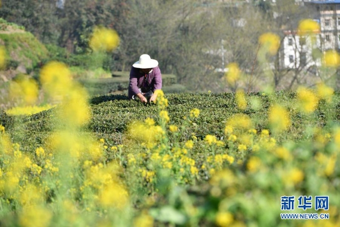 1127125292_16139835787521n 1127125292_16139835787521n