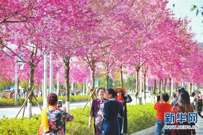 139768495_16143020666941n