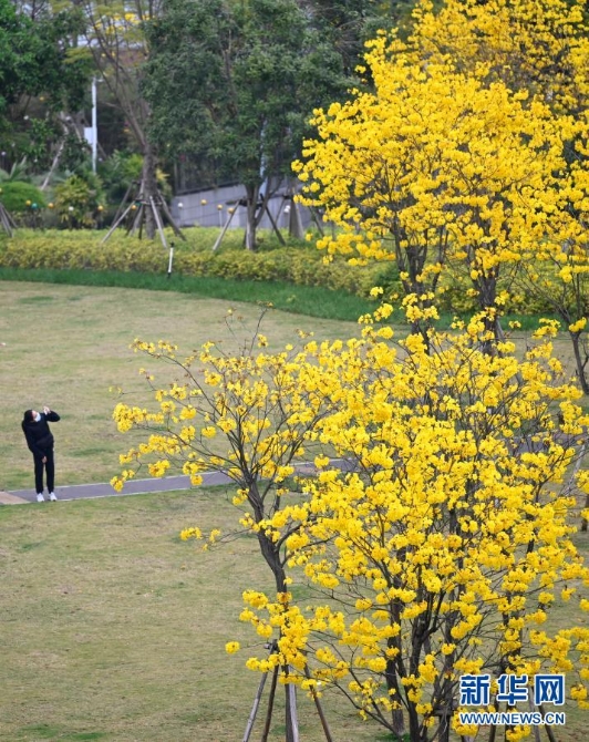 1127151314_16145590149501n