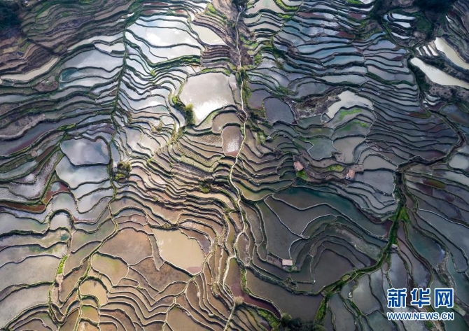 1127149734_16144963213931n