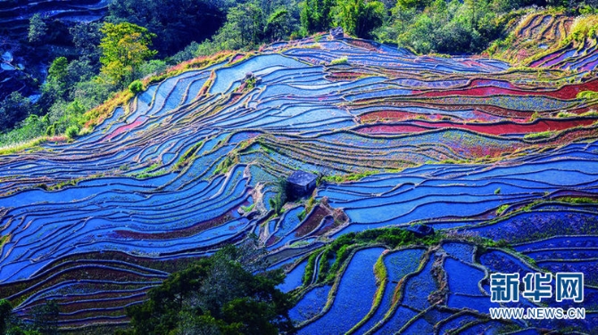 139771406_16144030702191n 139771406_16144030702191n