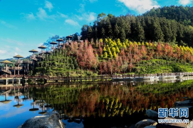 139771406_16144030703011n 139771406_16144030703011n