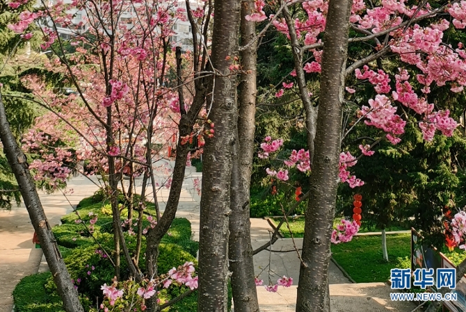 139774659_16145645190821n