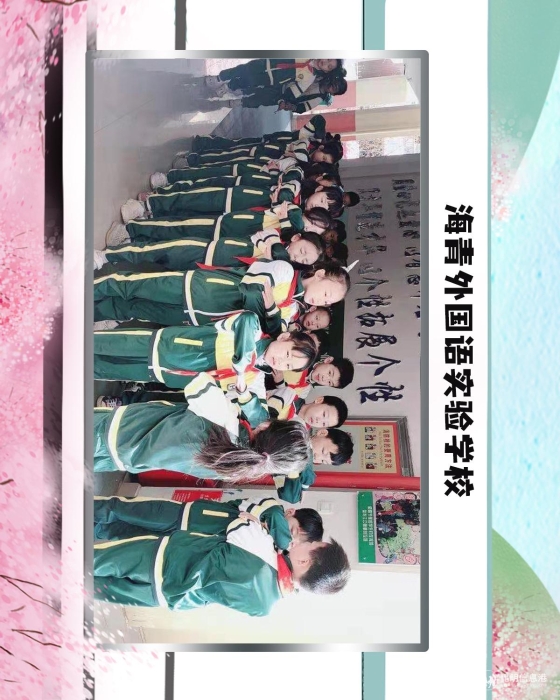 6海青外国语实验学校