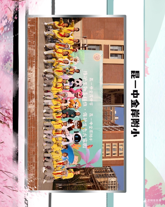 44昆一中金岸附小