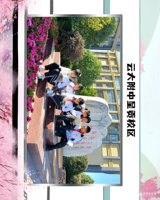 54云大附中呈贡校区